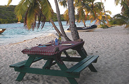 Picnic on the beach